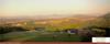 Do_19_35