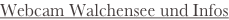 shapeimage_12_link_1